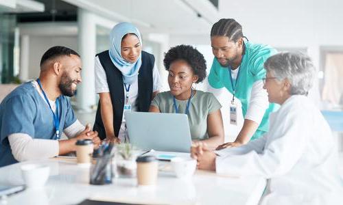 Public Health Nurse Reviewing Strategy with Healthcare Team